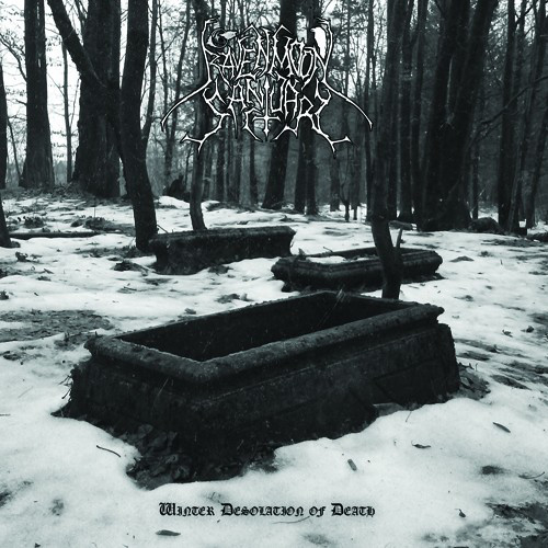 Ravenmoon Sanctuary - Winter Desolation Of Death DIGI CD