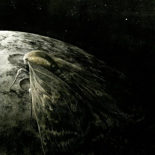Augrimmer - Moth And The Moon CD